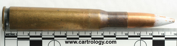 .50 BMG API  Egypt ٧٧ %٥٠ profile view.