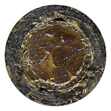 7.62mm Caseless Ball  United States  head view.