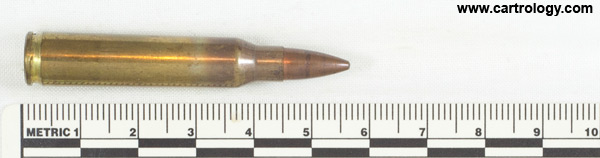 5.56 x 45mm Dummy  United States S C A M P profile view.