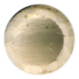 5.6mm SPIW Projectile Flechette  United States  head view.