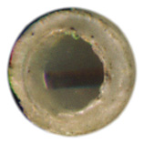 5.6mm SPIW Projectile Flechette  United States  head view.