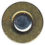 .22 Homologous Duplex  United States  head view.