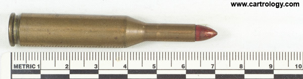 .22 Homologous Duplex  United States  profile view.
