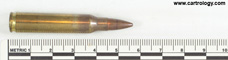 5.56 x 45mm Dummy  United States S C A M P profile view.