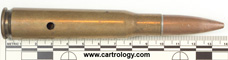 .50 BMG Dummy M2 United States F A 43 profile view.